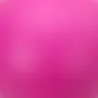 Fuchsie